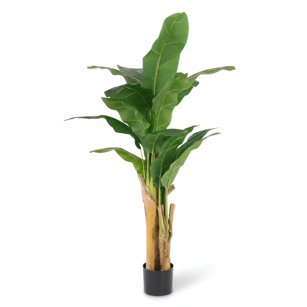 Full view of a 150 cm artificial banana tree with broad green leaves and three trunks in a black pot, with a soft shadow on white.