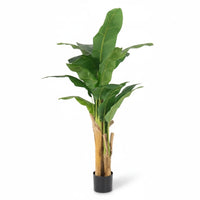 Full view of a 150 cm artificial banana tree with broad green leaves and three trunks in a black pot, with a soft shadow on white.