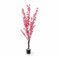 Trendiest 160cm artificial cherry blossom tree with vibrant pink flowers in a black pot for indoor or outdoor decor.