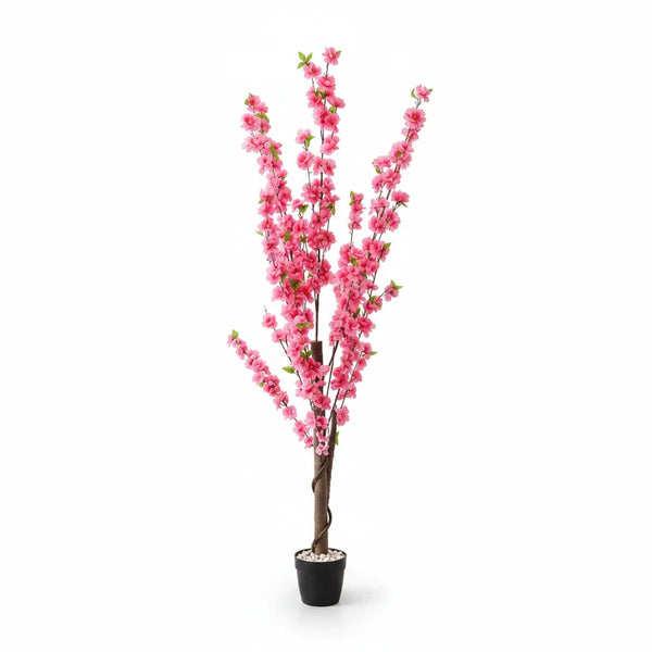 Trendiest 160cm artificial cherry blossom tree with vibrant pink flowers in a black pot for indoor or outdoor decor.