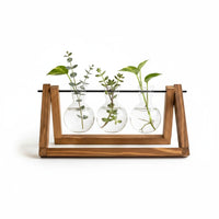Trendiest glass bulb terrarium with three vases on a rustic wooden stand for indoor hydroponic water plants