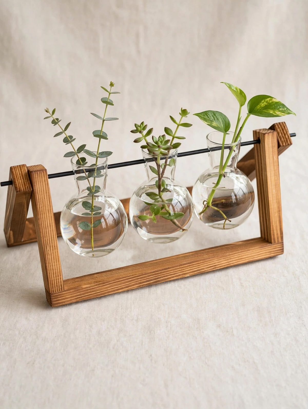 Trendiest glass bulb terrarium vases with three clear glass pots held by a rustic wooden stand for indoor plants