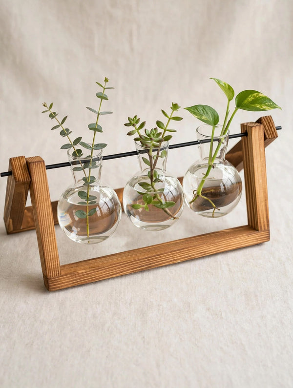 Trendiest glass bulb terrarium vases with three clear glass pots held by a rustic wooden stand for indoor plants