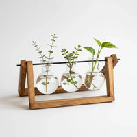Trendiest glass bulb vase set with three clear terrariums on a rustic wooden stand for indoor hydroponic plants