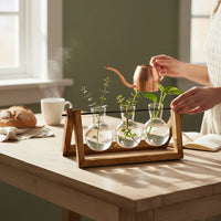 Trendiest glass bulb hydroponic vase set with a natural wooden stand on a wooden table with water plants